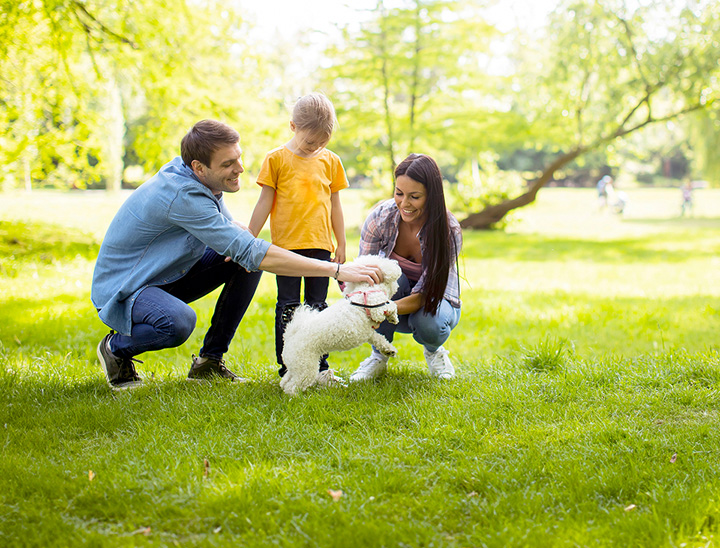 Image of a young family enjoying public open space with their dog.
